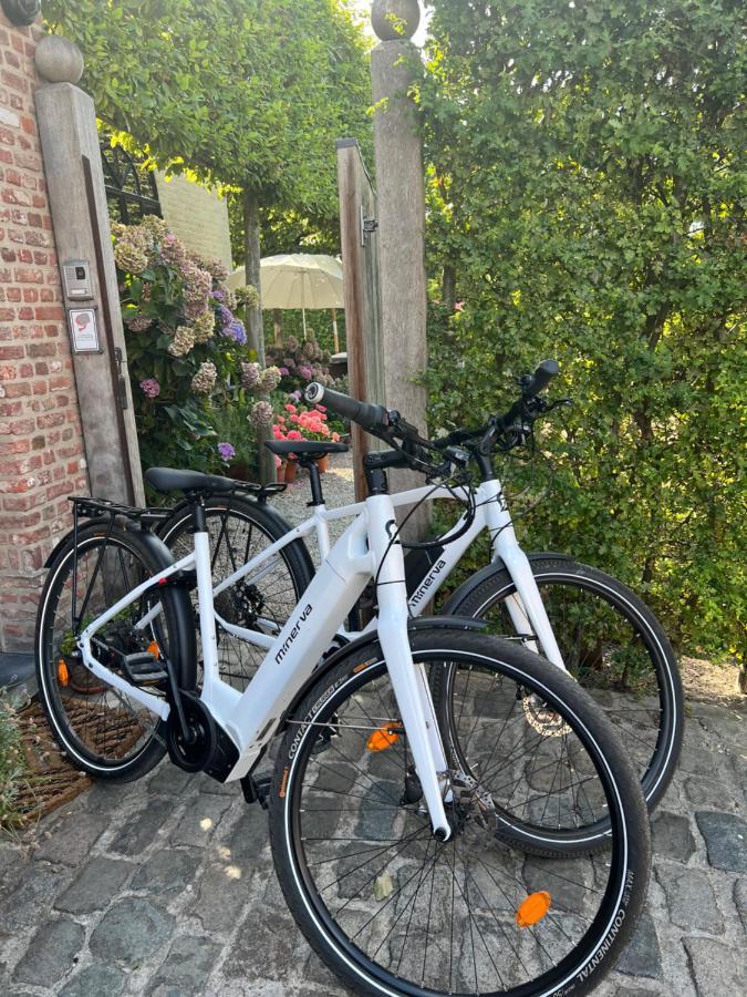 Vauban Bed & Breakfast